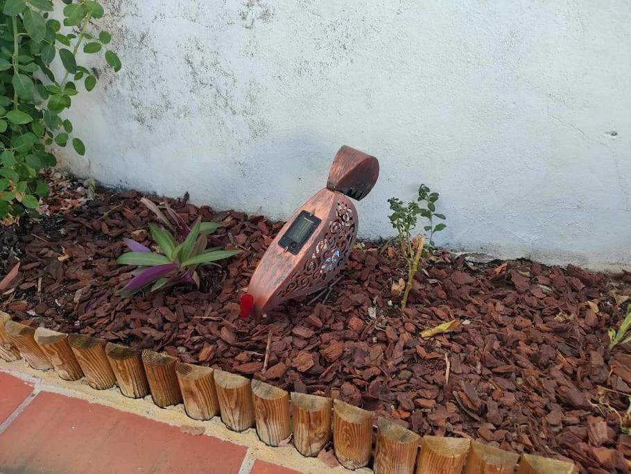 Casa Do Duque *